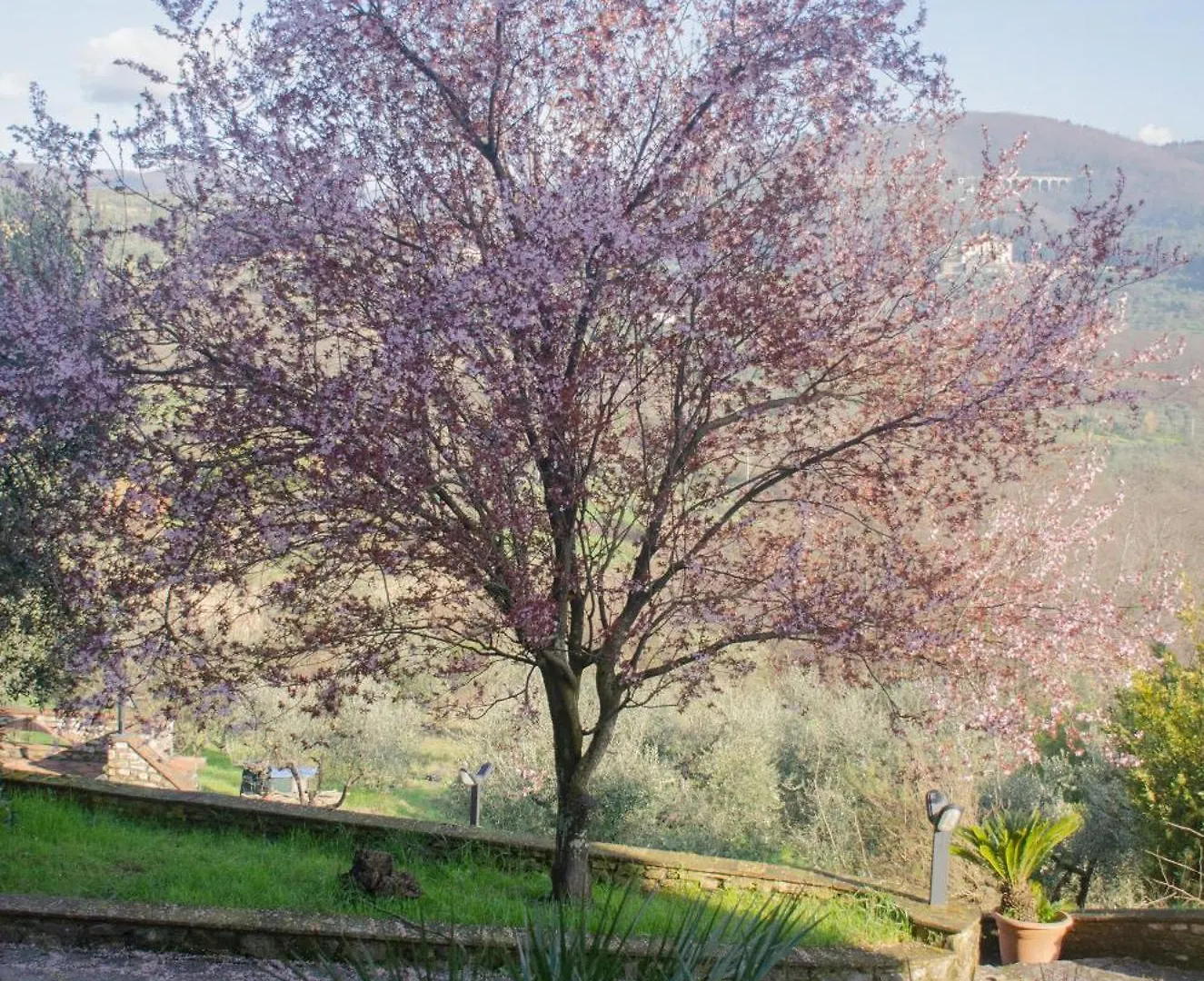 Σπίτι διακοπών Antico Podere Sant'Anna Πιστόια